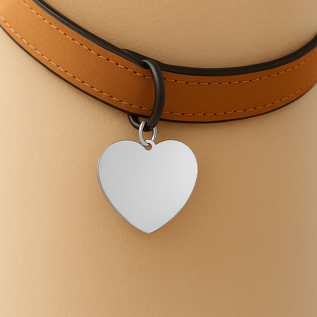 Heart-Shaped Personalized Pet Tag